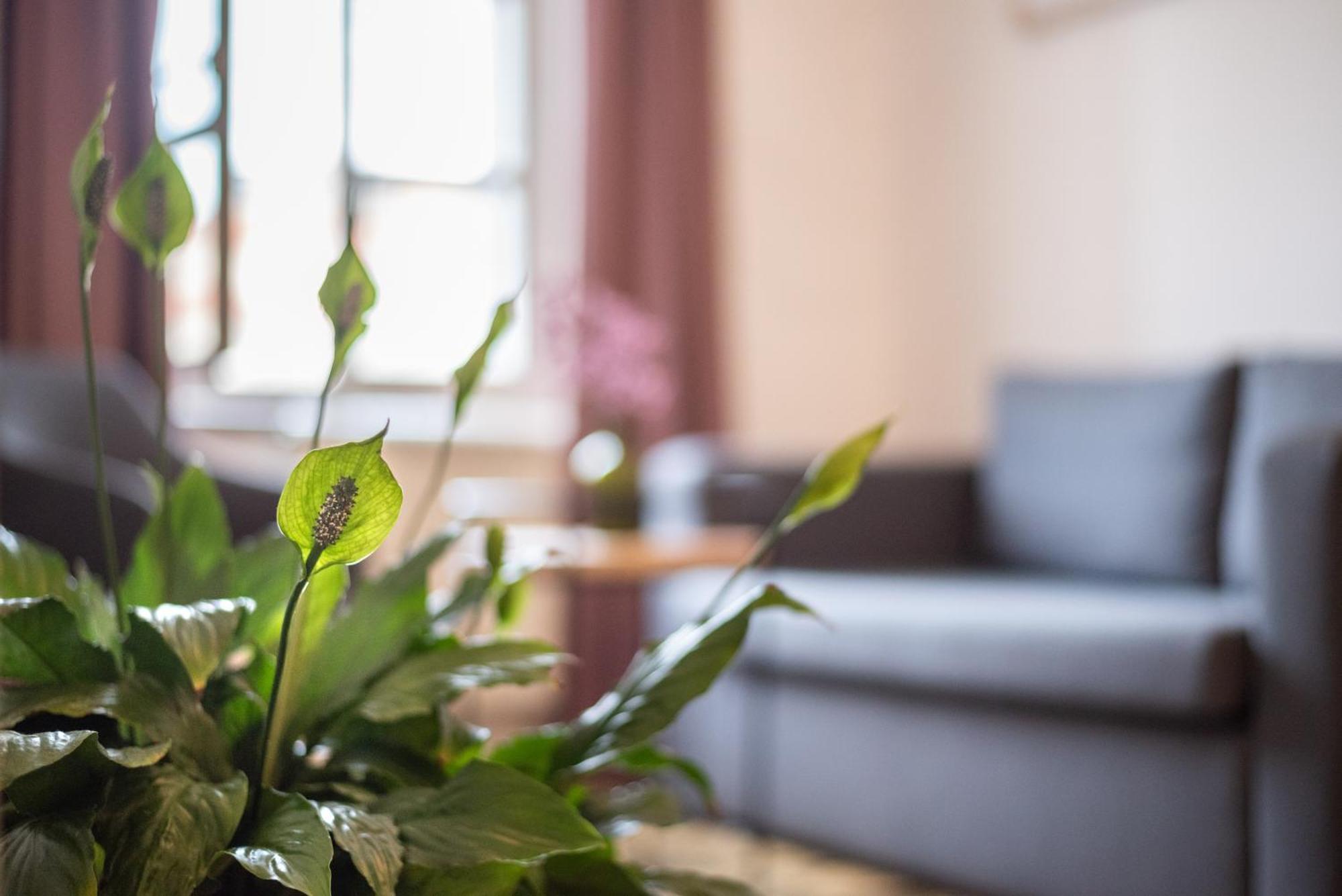 Art Hotel Tartini Πιράν Εξωτερικό φωτογραφία